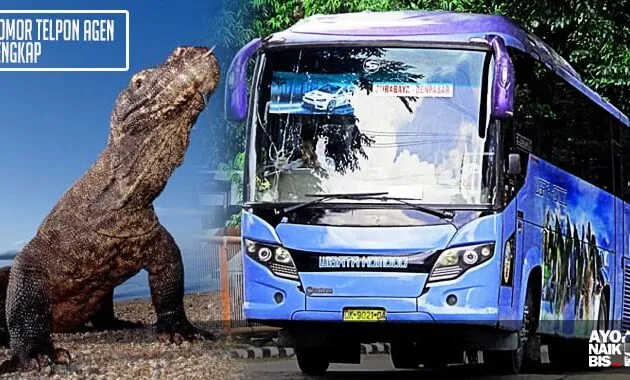 Bus Wisata Komodo Bali