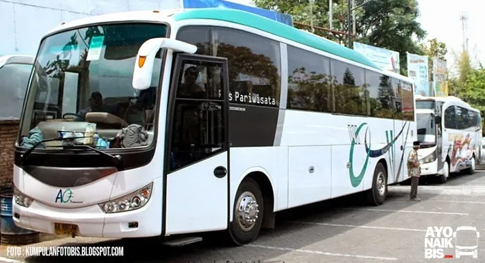 Bus Evonext New Armada