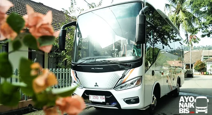 Foto Bus Altano