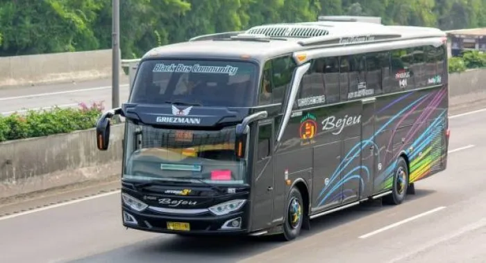 Bus Bejeu