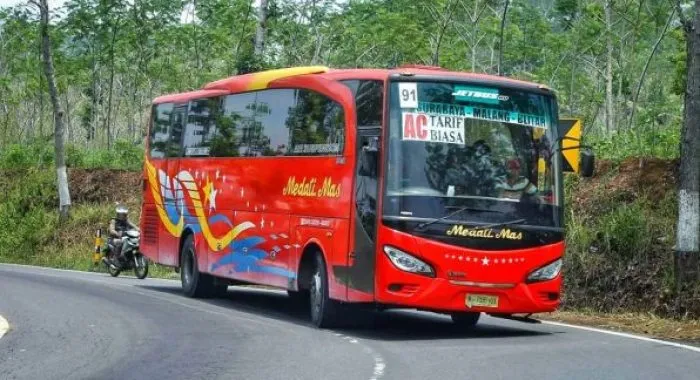 Bus Jetbus HD