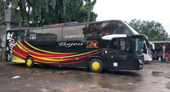 Bus Bejeu