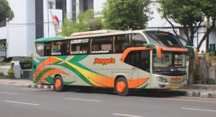 Bus Pariwisata