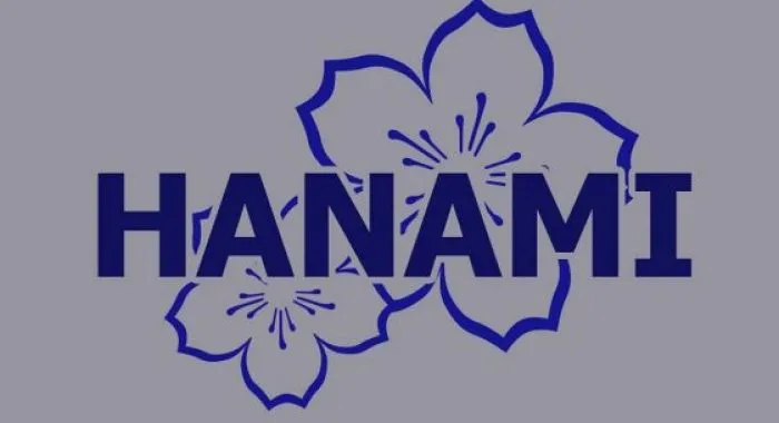 Hanami Bus PT RAPI