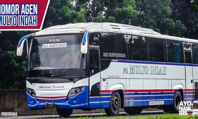 Agen Bus Mulyo Indah