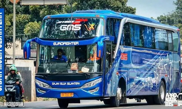 Agen Bus GMS