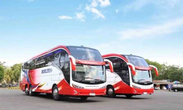 Bus Borlindo