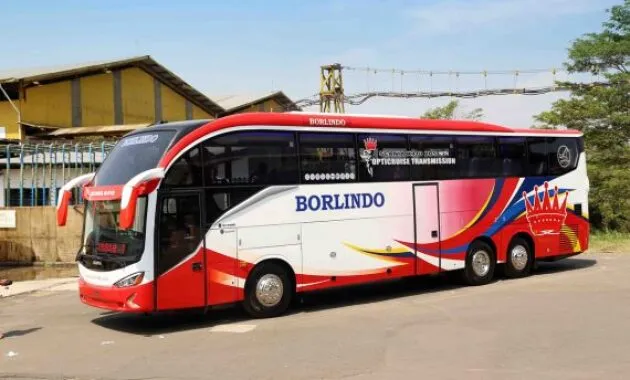 Borlindomj 21909585 173945926510501 5280652218733690880 N