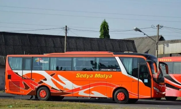 Bus Sedya Mulya