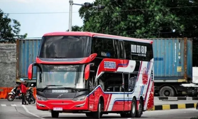 Bus Borlindo