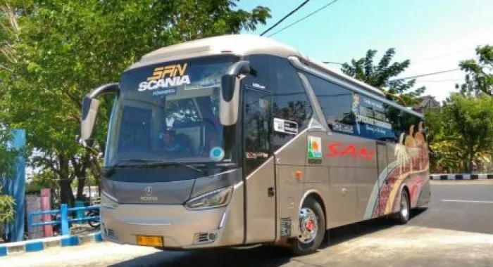 bus SAN