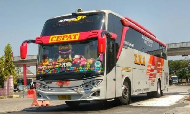 Bus EKA