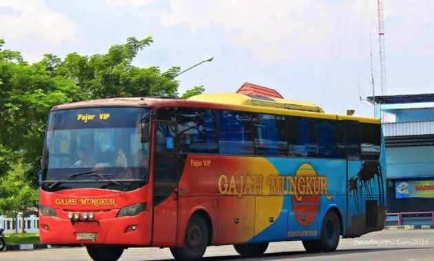 Bus Gajah Mungkur