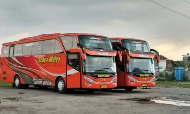 Bus Sedya Mulya