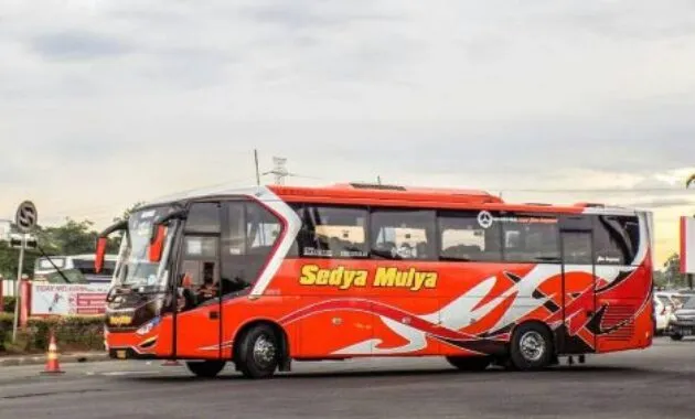 Bus Sedya Mulya