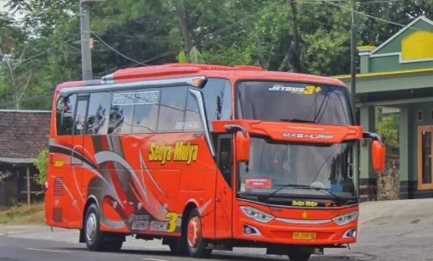 Bus AKAP
