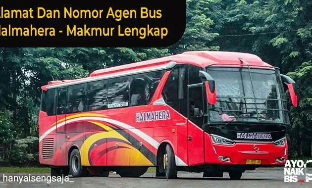 Agen Bus Halmahera Makmur