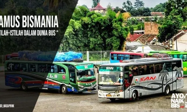Istilah Bus Indonesia