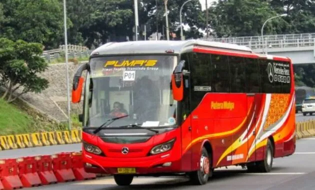 Bus Putera mulya