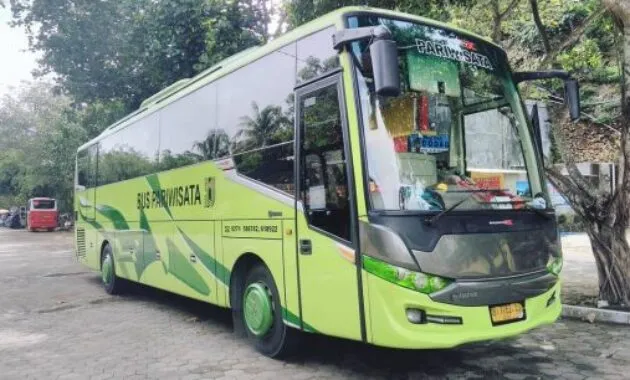 Bus Scorpion X