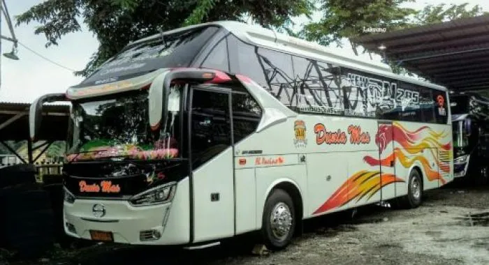 Bus Dunia Mas