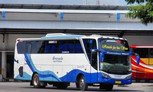 Bus AJP