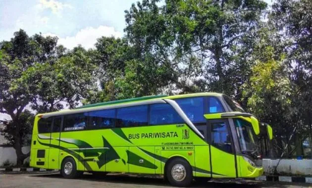 Bus Pariwisata Jogja