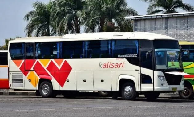 Bus Kalisari Scorpion King