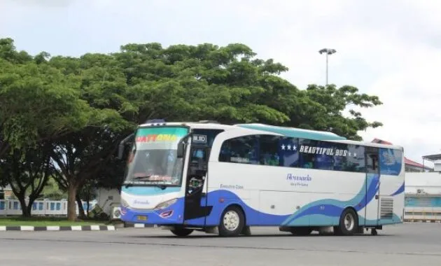 Bus AKAP