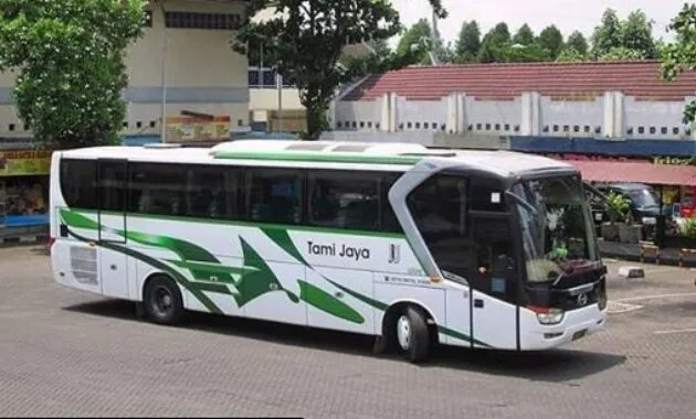 Bus Tami Jaya