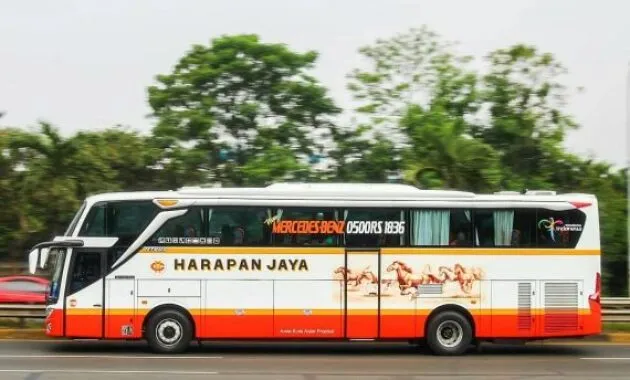 Bus Jakarta Semarang Harapan Jaya