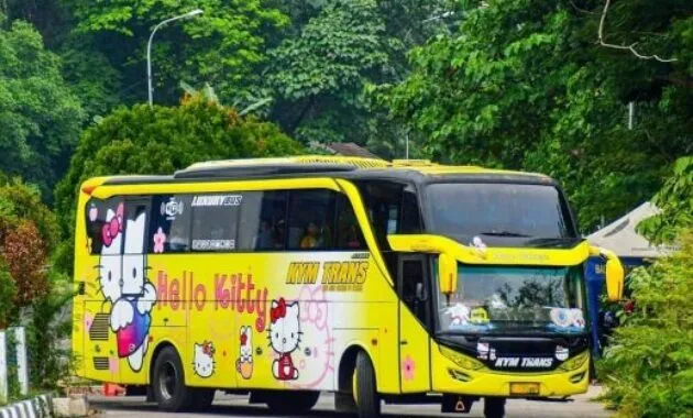 Bus KYM Trans