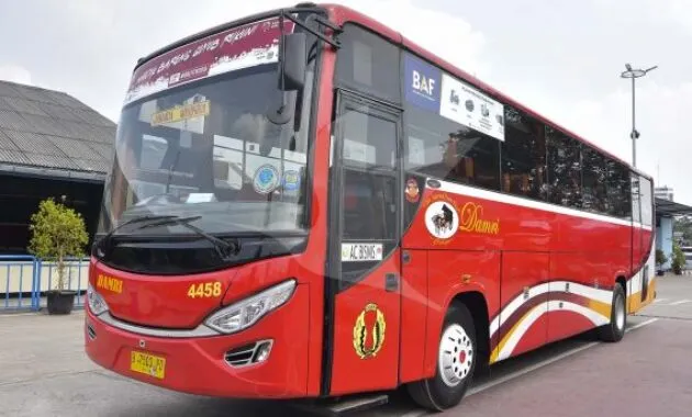 Bus Damri