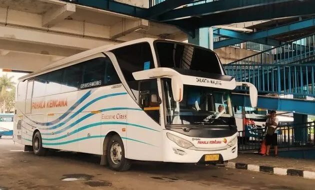Bus Pahala Kencana