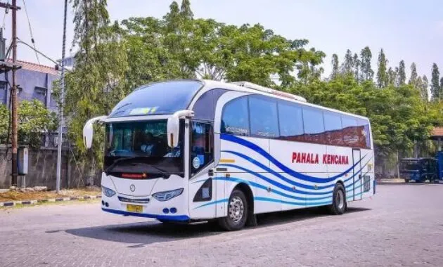 Bus Pahala Kencana Bajarnegara