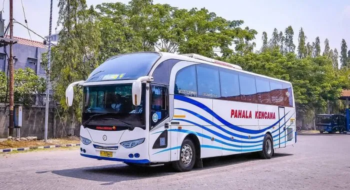 Bus Pahala Kencana AKAP Jakarta