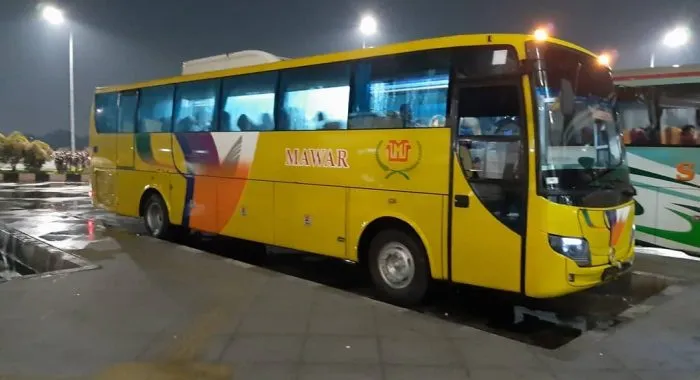 Bus Mawar AKAP