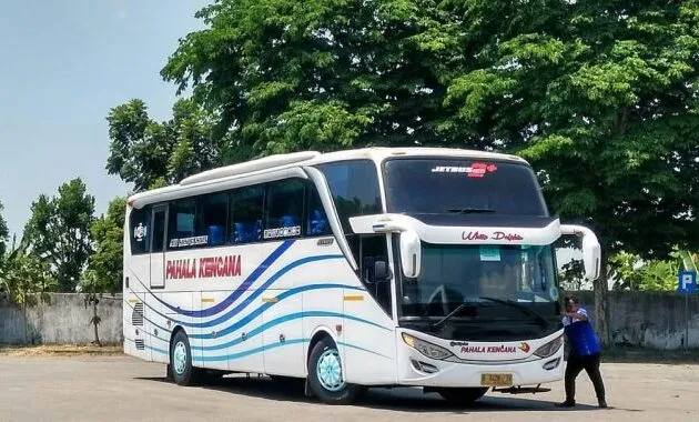 Bus Pahala Kencana banyuwangi