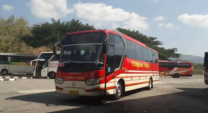 Bus Tunggal Dara