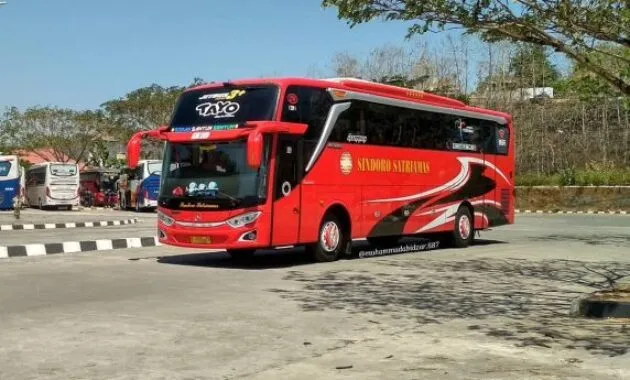 Bus Sindoro Satriamas