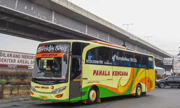 Bus Pahala Kencana