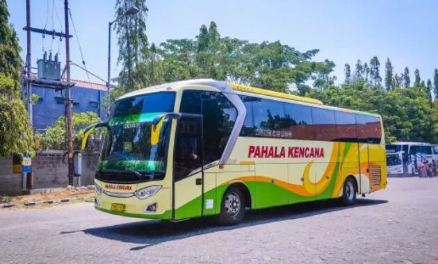 Bus Pahala Kencana