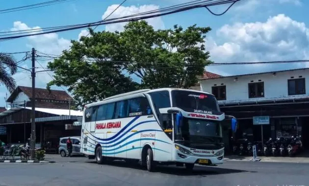 Bus Pahala Kencana