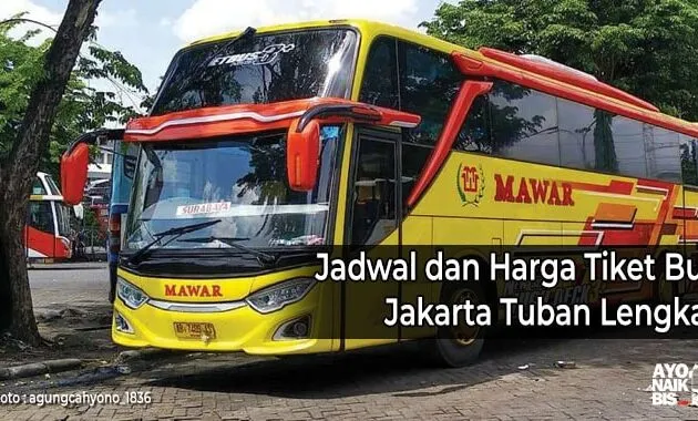 bus AKAP jakarta Tuban