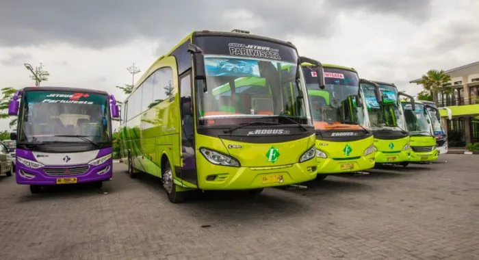 Bus Eddy Transport