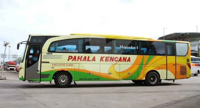 Bus Pahala Kencana Probolinggo