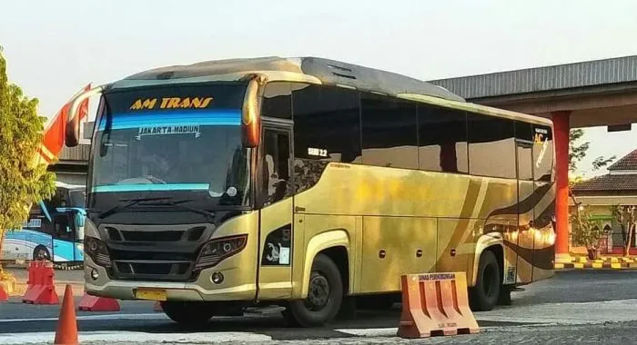 Bus AM Trans