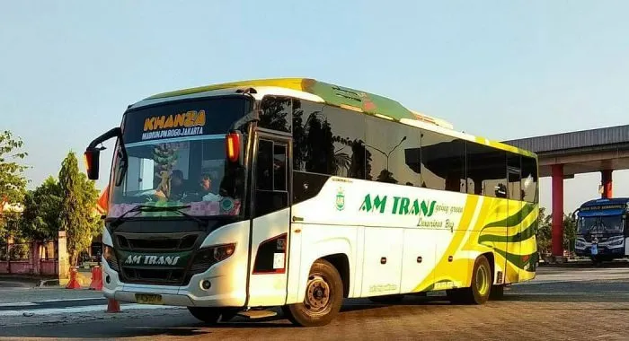 Bus AM Trans