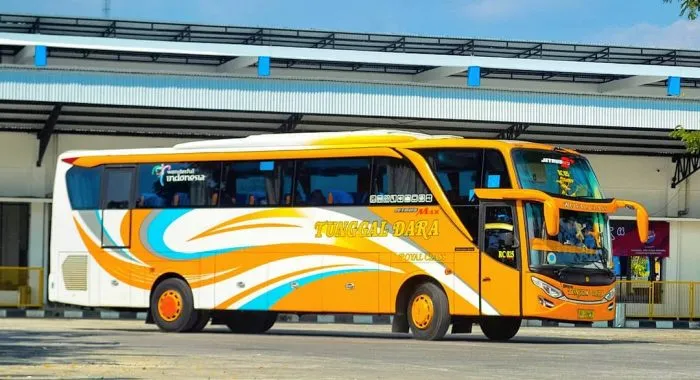 Bus Tunggal Dara