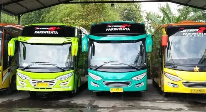 Armada Bus Pariwisata Rafira